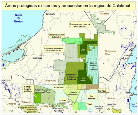 Manuel Weber: Calakmul: The true last "wilderness" frontier in Mexico?