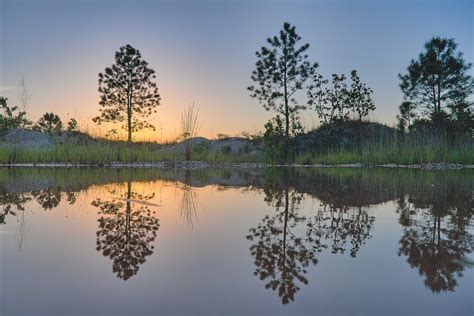 Trees Water Reflection - Free photo on Pixabay