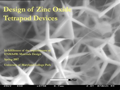 Applications of Zinc Oxide Nanoparticles