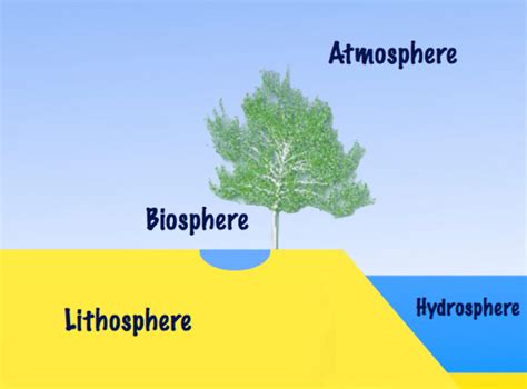 The part of the earth where life exists, is made up ofA. LithosphereB. HydrosphereC. AtmosphereD ...