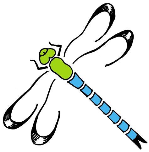 Yorkshire Dragonfly Group – www.yorkshiredragonflies.org.uk