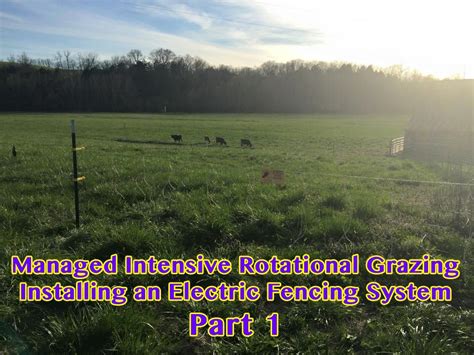 Rotational Grazing Electric Fencing Install - Part 1 - YouTube