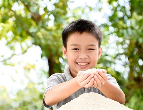 Premium Photo | Jasmine rice in kid hand