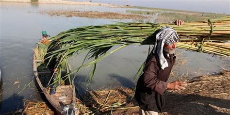 Iraq's 'Marsh Arabs' look to restore once-lost culture with help from ...