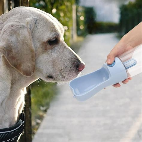 Tebru Pet Dog Portable Water Bottle Outdoor Cat Puppy Drinking Cup Water Feeder, Portable Dog ...