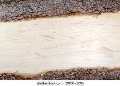 6,800 Aspen wood texture Images, Stock Photos & Vectors | Shutterstock