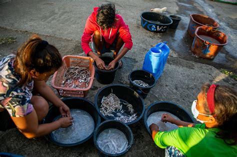 In Cagayan province: The water turns dark where the river meets the sea | ABS-CBN News