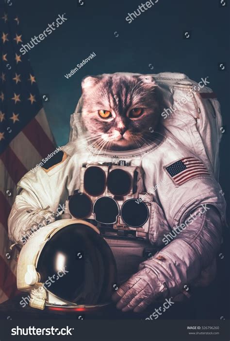 Beautiful cat astronaut. Elements of this image furnished by NASA. #Ad , #AFF, #astronaut#cat# ...