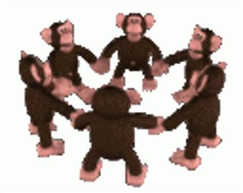 A Group of Monkeys Laughing GIF - Funny Monkey GIF - Discover & Share GIFs