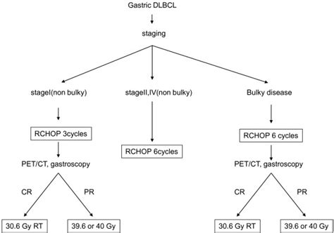 The schema of treatment of gastric DLBCL in our study. | Download Scientific Diagram