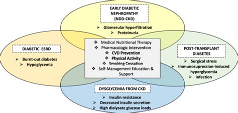 Medical Nutrition Therapy for Diabetic Kidney Disease - Journal of Renal Nutrition