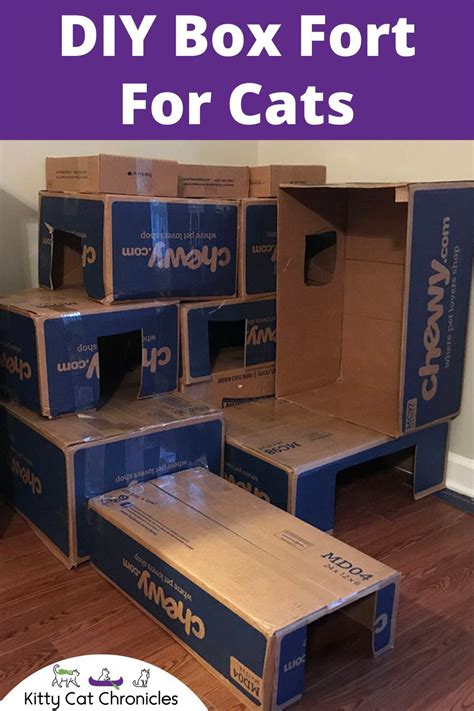 How to make a cardboard box fort for your cat – Artofit
