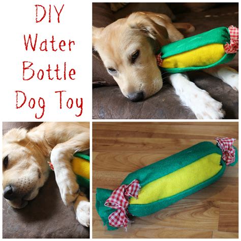 Easy DIY Water Bottle Dog Toy