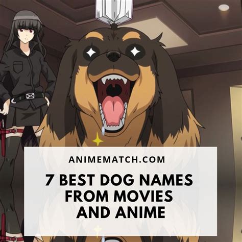 Inspiration 27+ Anime Dog Names