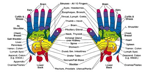 hand reflexology- Healing By Pressing Reflex Points On Hands