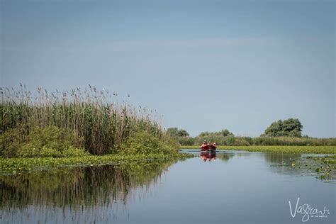 Into The Wild. The Magnificent Danube Delta, Romania.