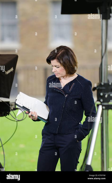 Jane Hill, BBC news journalist, on College Green, Westminster reporting ...