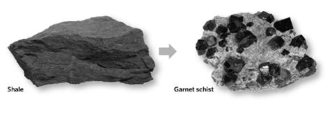 Solved Garnet schist, which may form from the metamorphism | Chegg.com