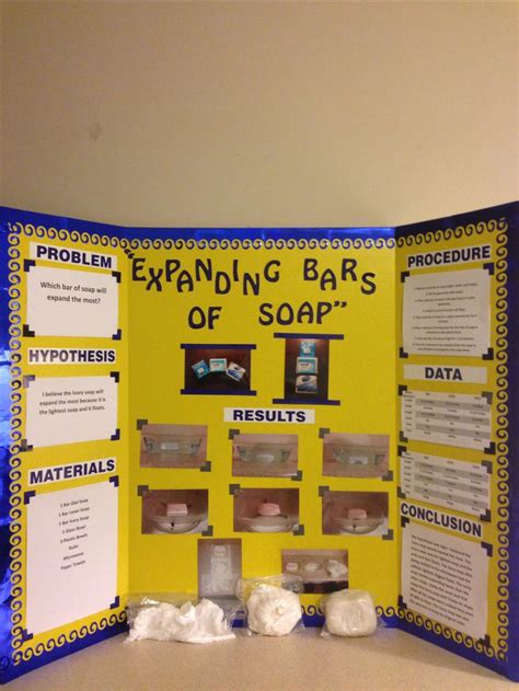 Science Projects For 3rd Graders