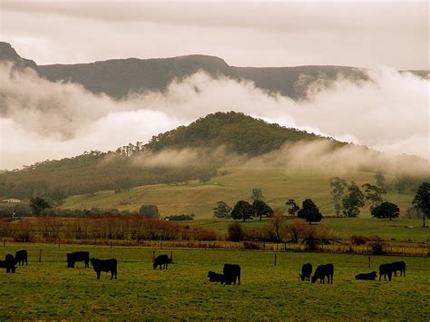 Tasmania Landscape Photograph by Lynnette Wells - Fine Art America