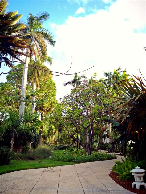 Botanical Gardens In Miami – Beautiful Flower Arrangements and Flower Gardens