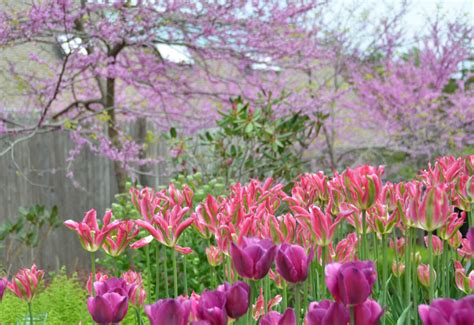 Coastal Maine Botanical Gardens 🌷 Things to Do in Boothbay