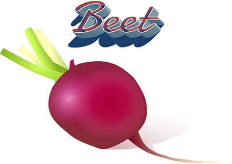 Beet Png Clipart - Portable Network Graphics Transparent Png - Full Size Clipart (#1671103 ...