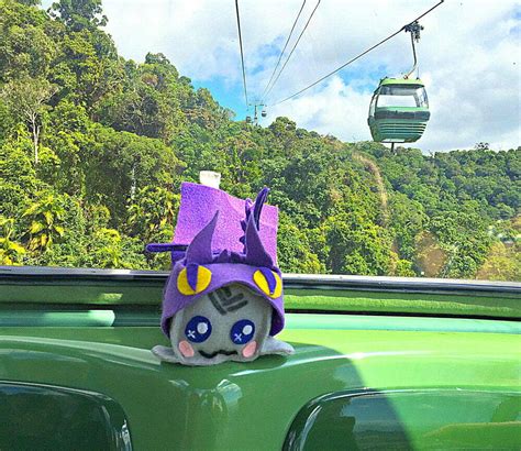 Cairns Skyrail Rainforest Cableway - Riding a Glass-Bottom Gondola over ...