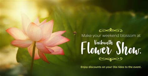 Vaikunth Flower Show Archives - Olacabs Blogs