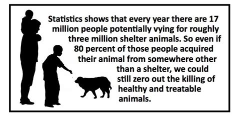 5 Reasons Kill 'Shelters' Don't Work