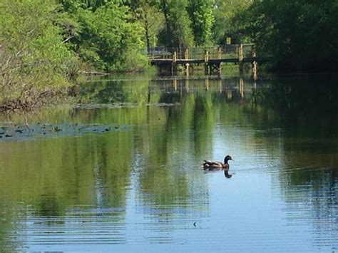 Oil Spill Boom Deployment Exercise | Town of Exeter New Hampshire ...