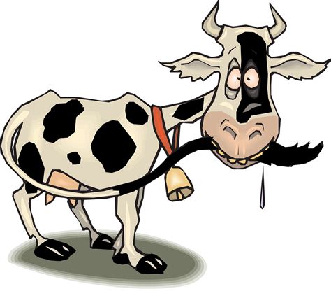 Cow Black White Farm Animal transparent image | Cartoon cow, Dairy cattle, Cow