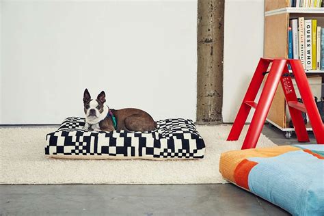 The Best Dog Beds for Design Lovers - Dwell