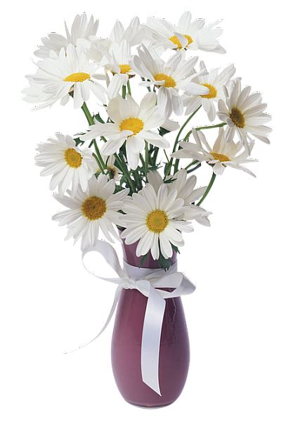 Daisies Transparent Vase Bouquet | Vasos de flores, Vasos, Daisy