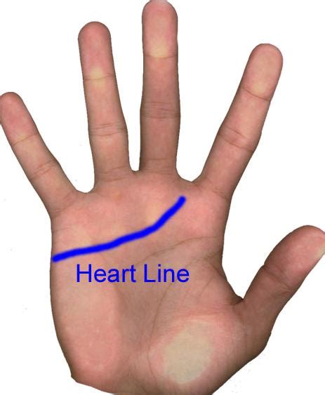 Hand Palm Reading,Palm Reading: Palm Reading Heart Line