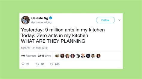 The 20 Funniest Tweets From Women This Week | HuffPost Communities