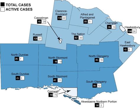 More than 300 active cases of COVID-19 across Eastern Ontario Health Unit territory - The Review ...