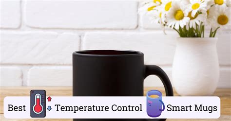 The 9 Best Temperature Control Smart Mugs (A Complete Guide)