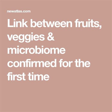 Link between fruits, veggies & microbiome confirmed for the first time Fruits And Vegetables ...