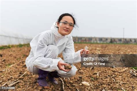 2,604 Soil Scientist Stock Photos, High-Res Pictures, and Images - Getty Images