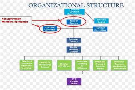 Organizational Chart Board Of Directors Management Chief Technology Officer, PNG, 1353x909px ...