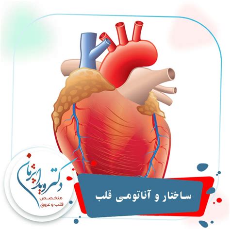 مقالات - دکتر ویدا پژمان