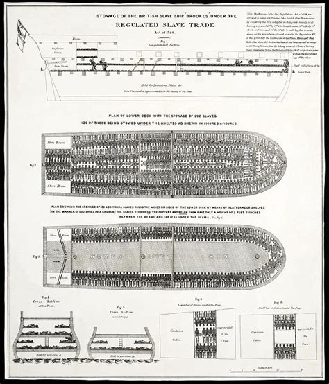 Slave Ship Middle Passage Stowage Diagram 1788 Photograph by Daniel Hagerman