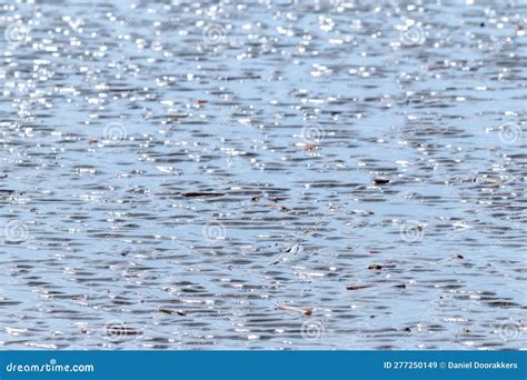 Background Image of the Sea at the Frisian Island, Beaches in Europe Stock Image - Image of ...