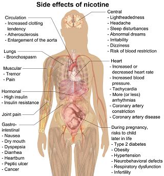 Side Effects of Nicotine on Your Health