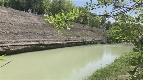 Why is Shoal Creek green? | kvue.com