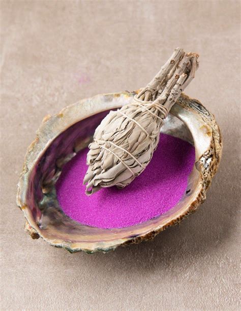 Large Abalone Shell and White Sage Smudge Set | White sage smudge ...