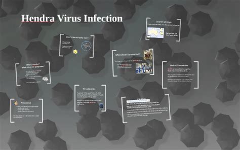 Hendra Virus Infection by Conner Booth on Prezi