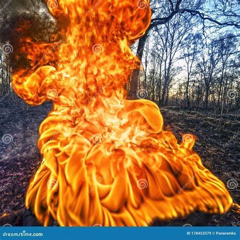 Burning Forests and Fields, HDR Stock Image - Image of climate, inferno: 178453379