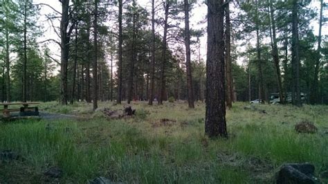 Kaibab National Forest Kaibab Lake Group Area | BookYourSite